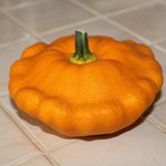 Patisson orange - Courge