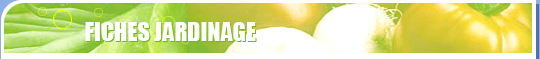 Fiches jardinage