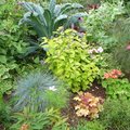 Ao�t - Gestes et travaux de saison au jardin