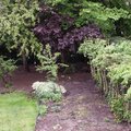 Quel l�gume mettre dans un potager � l'ombre ?