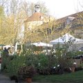 Printemps 2010 - F�te des Plantes Vivaces de Saint-Jean de Beauregard (91)