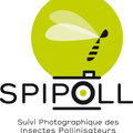 SPIPOLL, �tre photographe d'insectes pollinisateurs