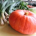 Classification des l�gumes