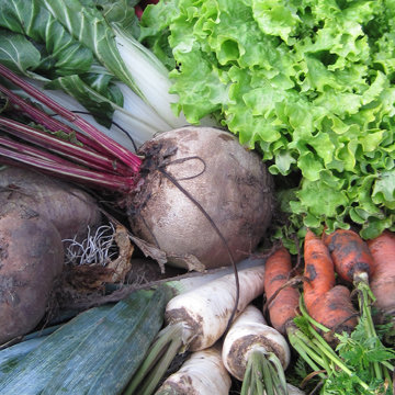 que planter hiver dans le potager