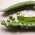 Quels l�gumes semer ou planter en avril au jardin ?