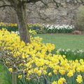 Printemps 2009 - F�te des Plantes Vivaces de Saint-Jean de Beauregard (91)