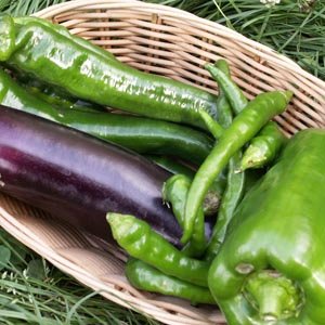 que planter en mai au potager