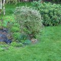 Visite guid�e de mon jardin � l'automne