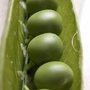 Reportages au jardin - L�gumes
