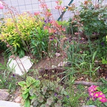 D�sespoir du peintre - 