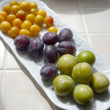 Trio de prunes - 