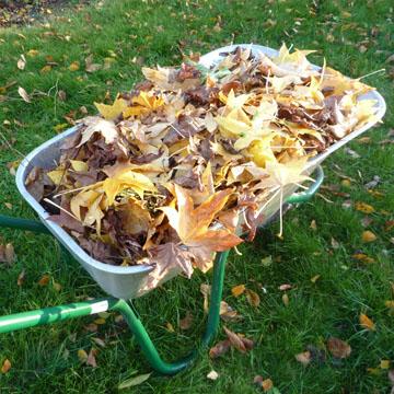 Brouette de feuilles - 