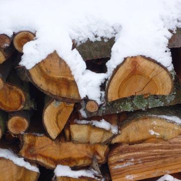Tas de bois - 