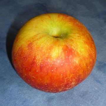 Pomme - 