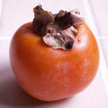 Kaki - 