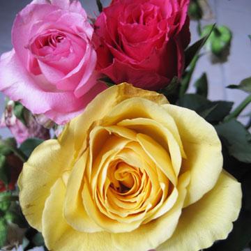 St Valentin - &nbsp;