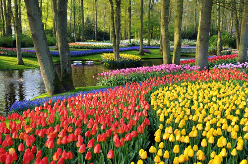 Le parc de Keukenhof