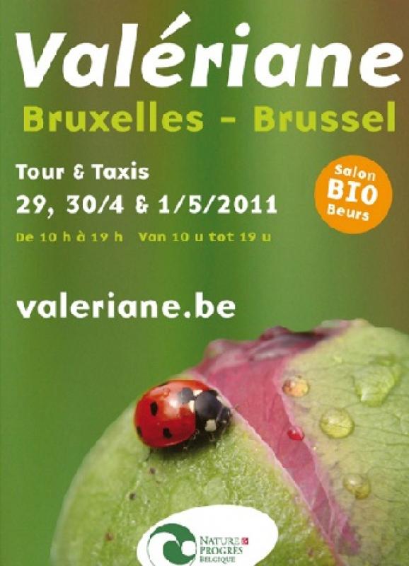 Rencontres bxl