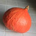 Potimarron