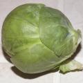 Chou de Bruxelles