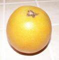 Pomelo - Pamplemousse - Citrus paradisi - Agrume