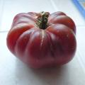 Tomate 'Noire de Crim�e'