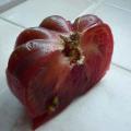 Tomate 'Noire de Crim�e'