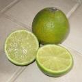 Citron vert - Citrus limon - Agrume