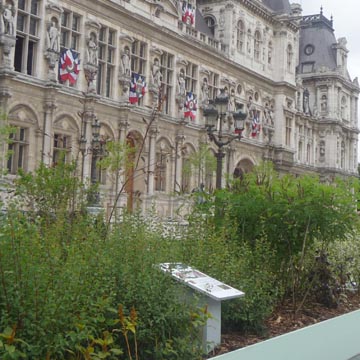Un jardin �ph�m�re sur le parvis de l'H�tel de Ville de Paris (75)