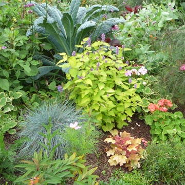 Ao�t - Gestes et travaux de saison au jardin