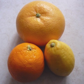 F�vrier : fruits et l�gumes de saison