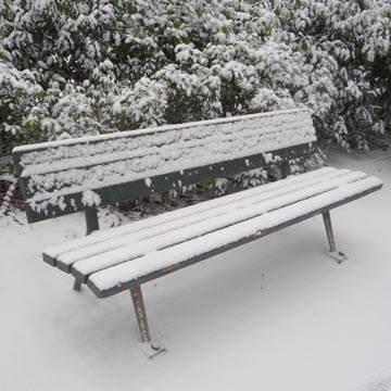 hiver : les gelées