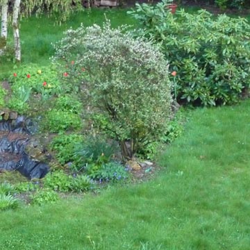 Visite guid�e de mon jardin � l'automne