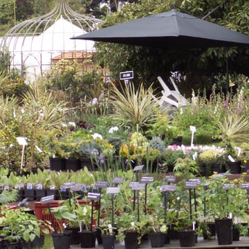 50�me journ�e des plantes de Courson (91) - Printemps