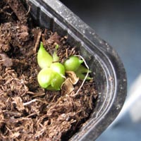 Le r�sultat au bout de 2 mois