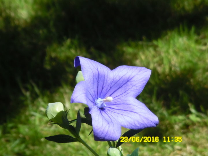 674