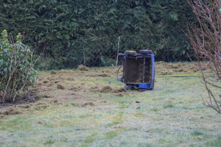 Demoussage de la pelouse
