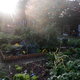 Jardin d adhérent