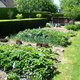 Legumes du jardin
