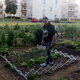 Le jardin de marco