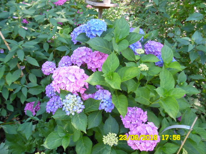 2002