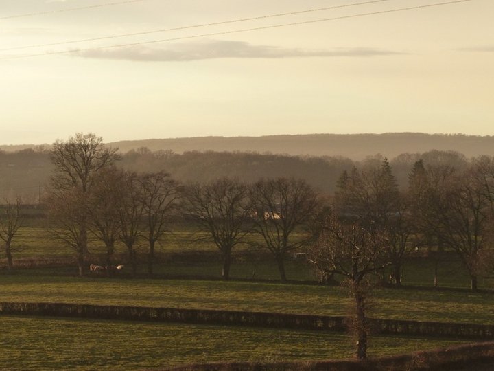 Soleil sur les prés.