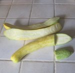 Courgette 'Zephyr'