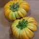 Jacato - Solanum aethiopicum