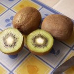 Kiwi - Actinidia