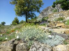 Le Jardin sec de l'abbaye de Valsaintes