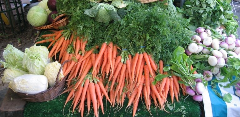 Semis et plantations d'août au potager