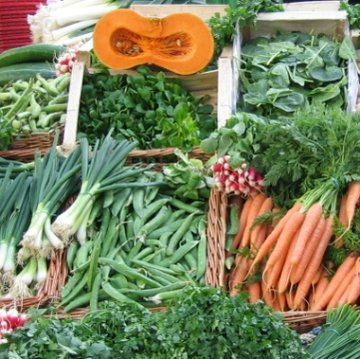 861_quels legumes semer ou planter en septembre au jardin_57963a32 l360 h360