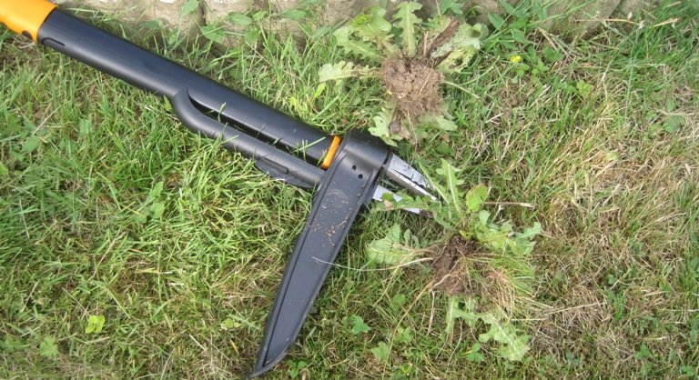 Chasse aux mauvaises herbes avec ce désherbeur Chasse aux mauvaises herbes avec ce désherbeur