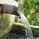 L'aquaponie et le jardin